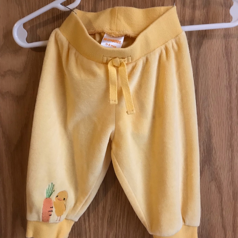 Gymboree Velour Pants
